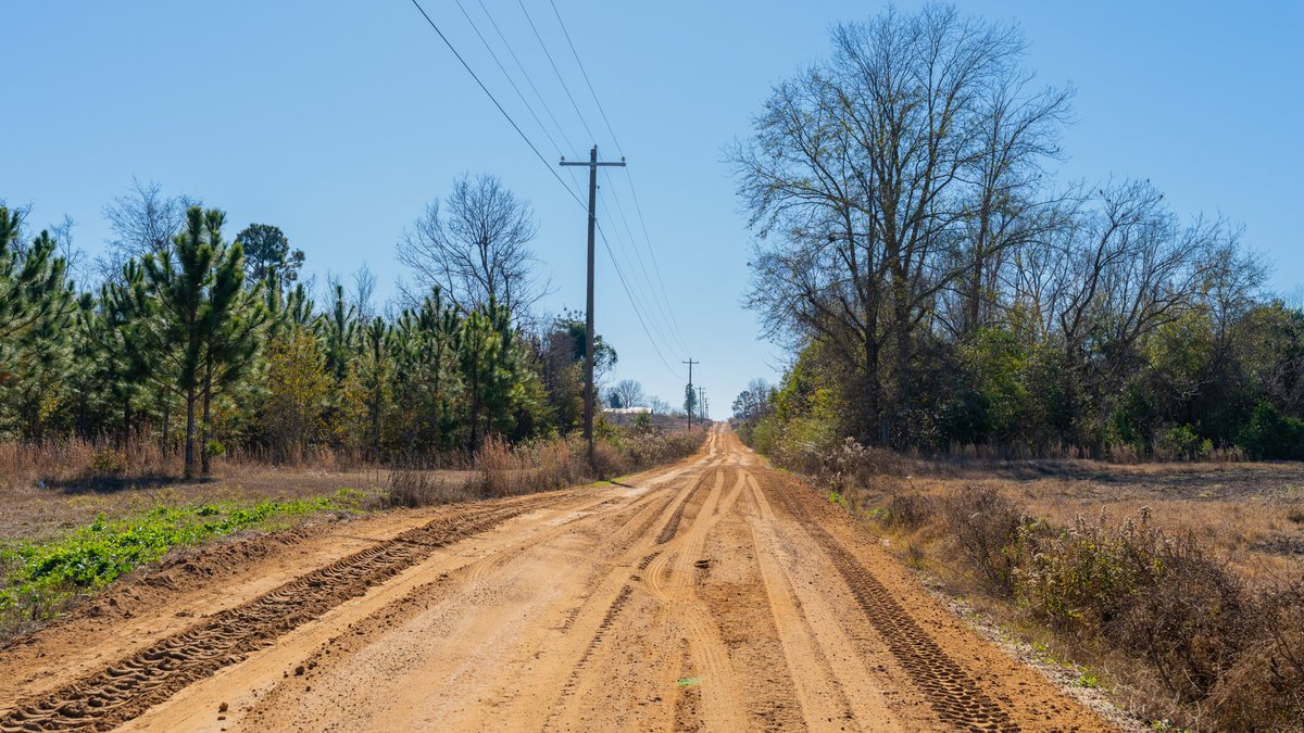 Image for 294+/- Acres – Hester Farm - Exceptional Hunting Opportunity - Versatile Farmland, Timber, & Ponds Offered Divided & as a Whole