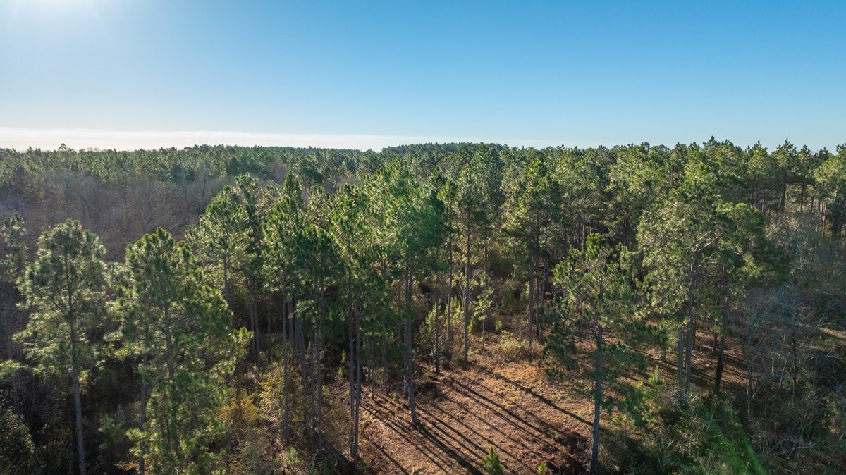 Image for 294+/- Acres – Hester Farm - Exceptional Hunting Opportunity - Versatile Farmland, Timber, & Ponds Offered Divided & as a Whole