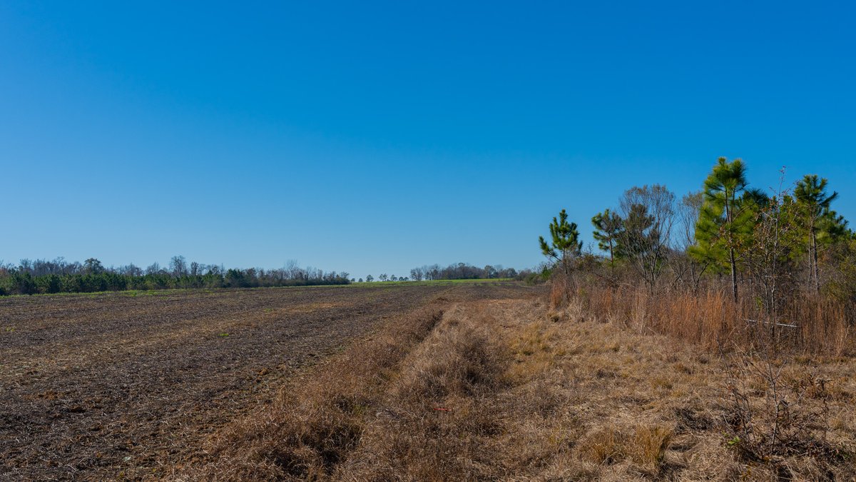 Image for 294+/- Acres – Hester Farm - Exceptional Hunting Opportunity - Versatile Farmland, Timber, & Ponds Offered Divided & as a Whole