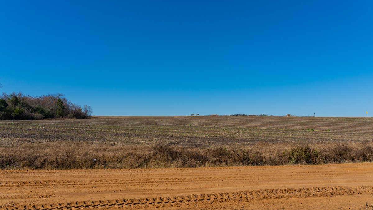 Image for 294+/- Acres – Hester Farm - Exceptional Hunting Opportunity - Versatile Farmland, Timber, & Ponds Offered Divided & as a Whole