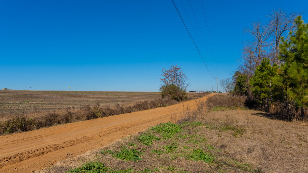 Image for 294+/- Acres – Hester Farm - Exceptional Hunting Opportunity - Versatile Farmland, Timber, & Ponds Offered Divided & as a Whole