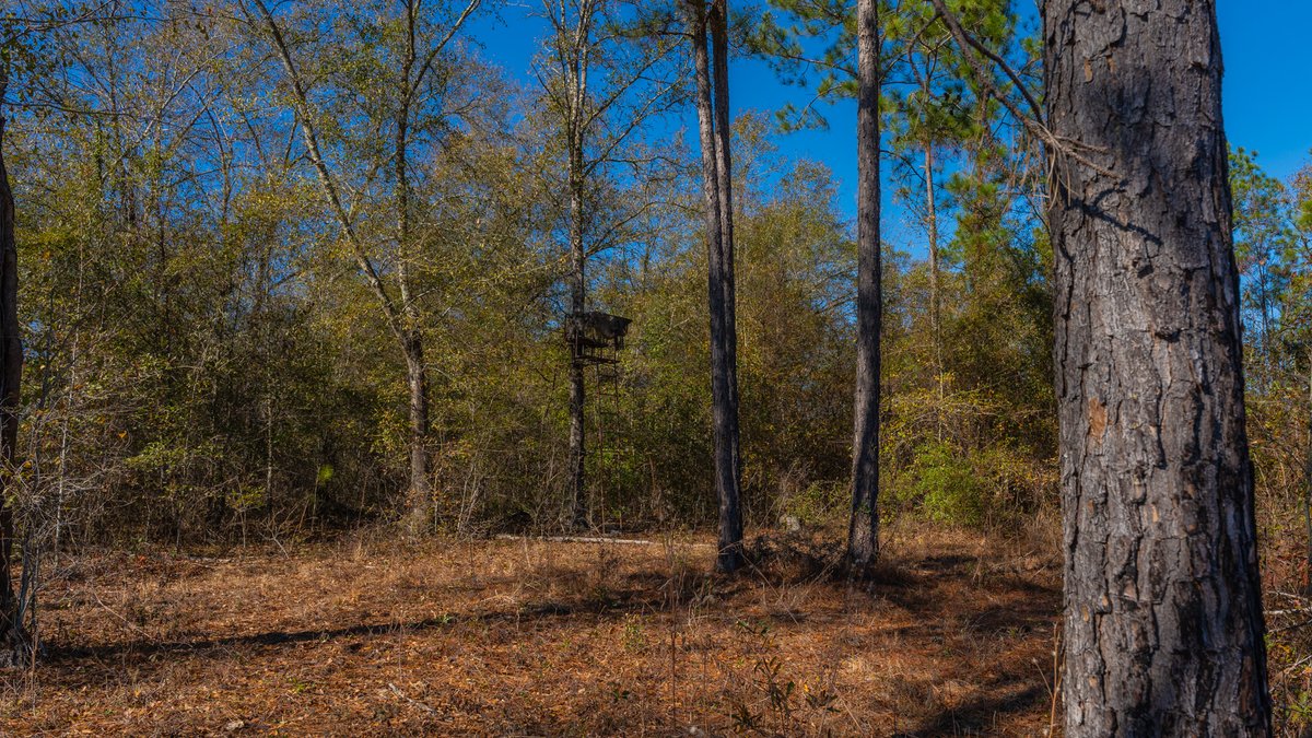 Image for 294+/- Acres – Hester Farm - Exceptional Hunting Opportunity - Versatile Farmland, Timber, & Ponds Offered Divided & as a Whole