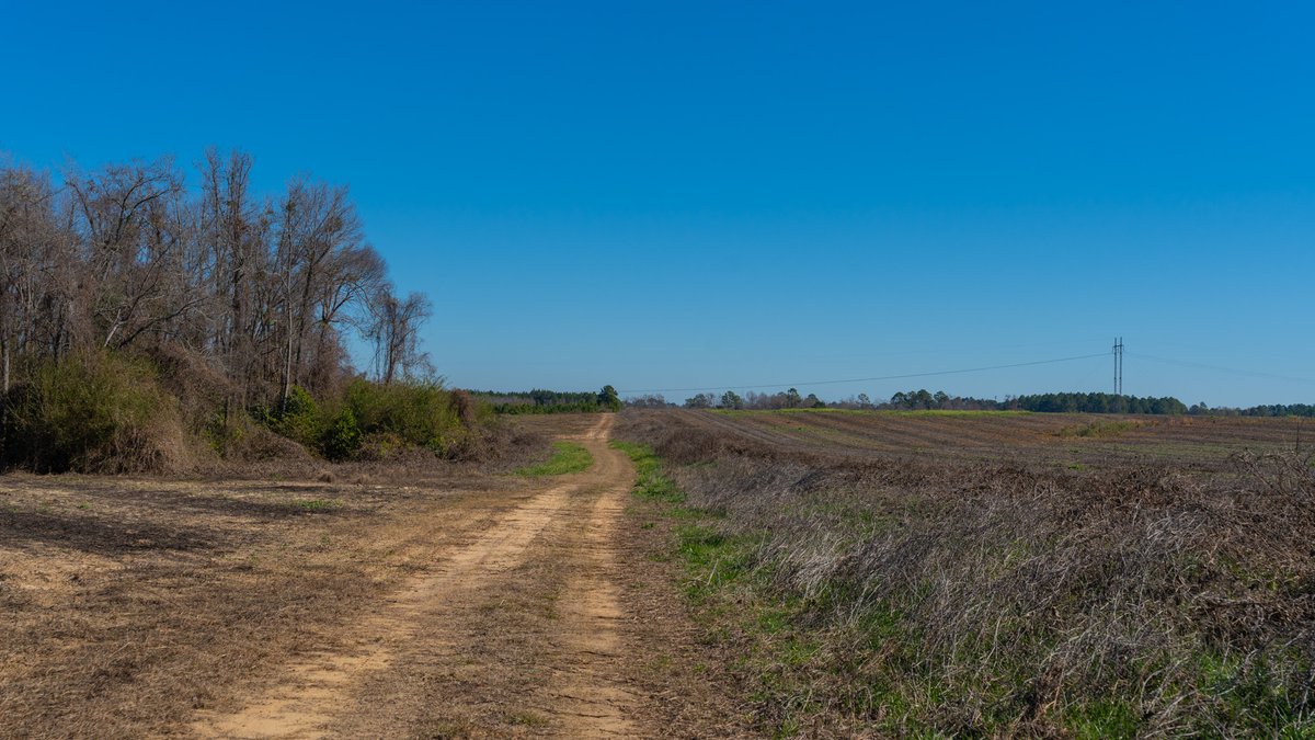 Image for 294+/- Acres – Hester Farm - Exceptional Hunting Opportunity - Versatile Farmland, Timber, & Ponds Offered Divided & as a Whole