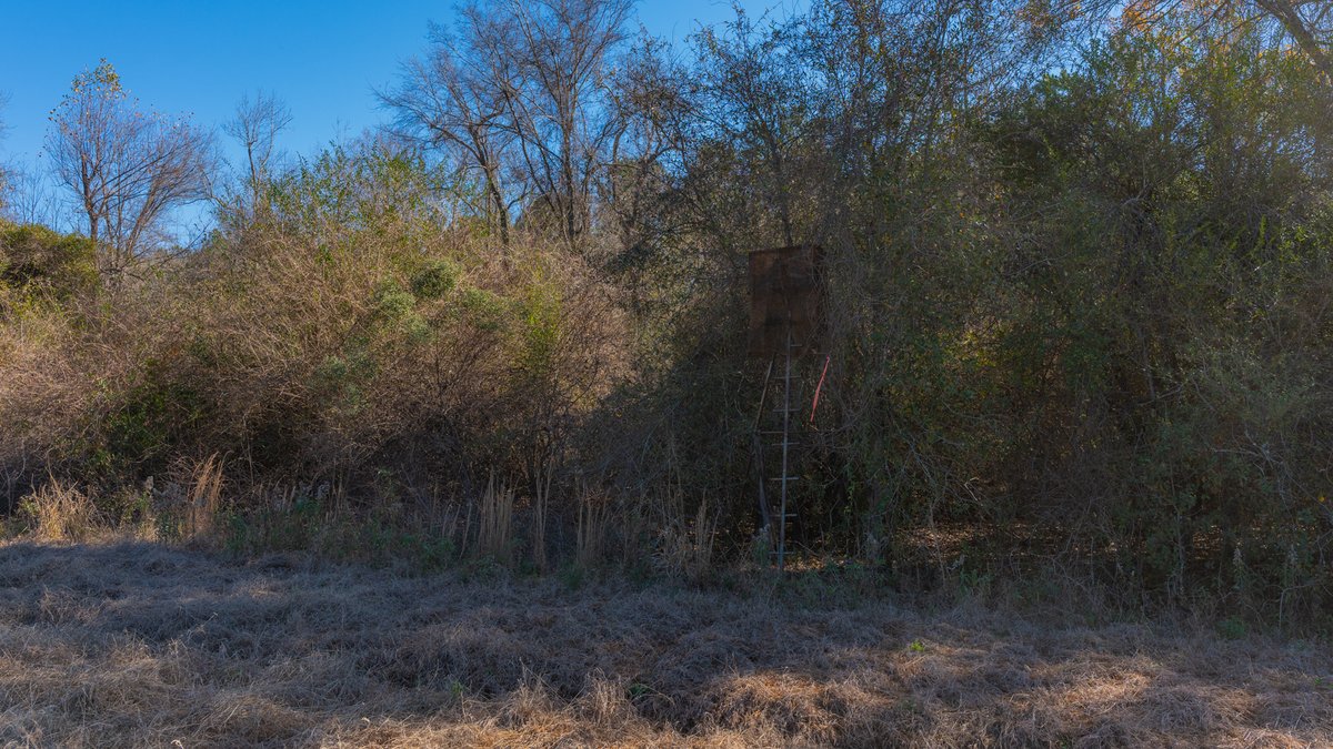 Image for 294+/- Acres – Hester Farm - Exceptional Hunting Opportunity - Versatile Farmland, Timber, & Ponds Offered Divided & as a Whole