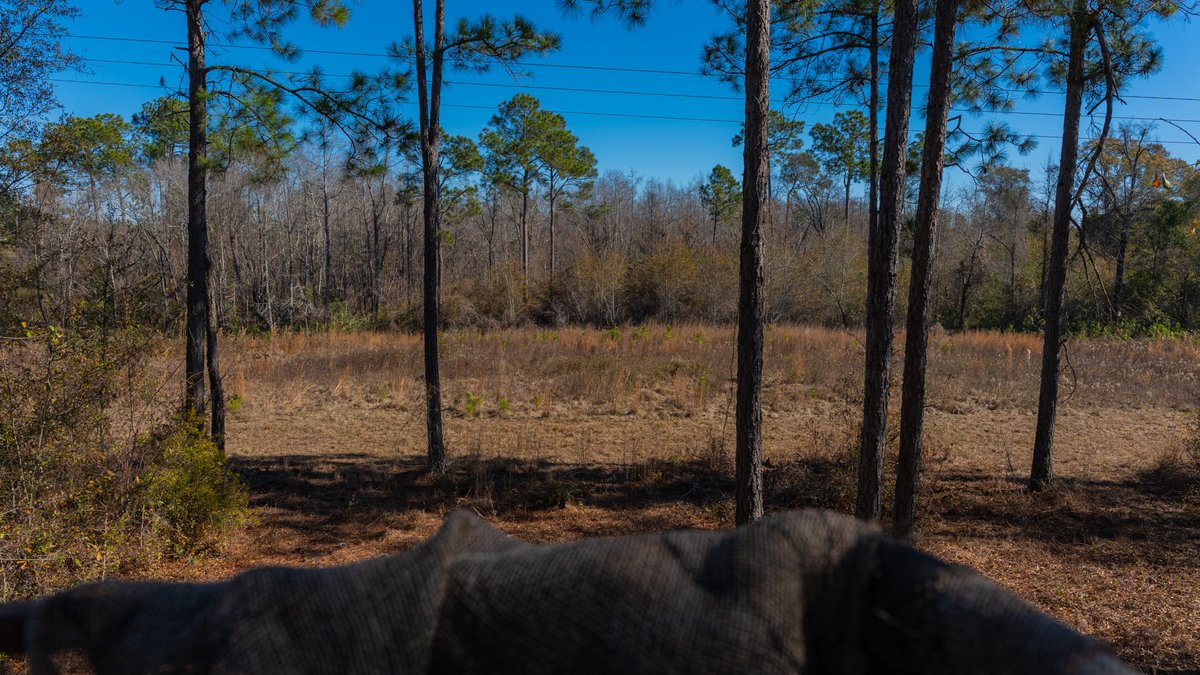 Image for 294+/- Acres – Hester Farm - Exceptional Hunting Opportunity - Versatile Farmland, Timber, & Ponds Offered Divided & as a Whole