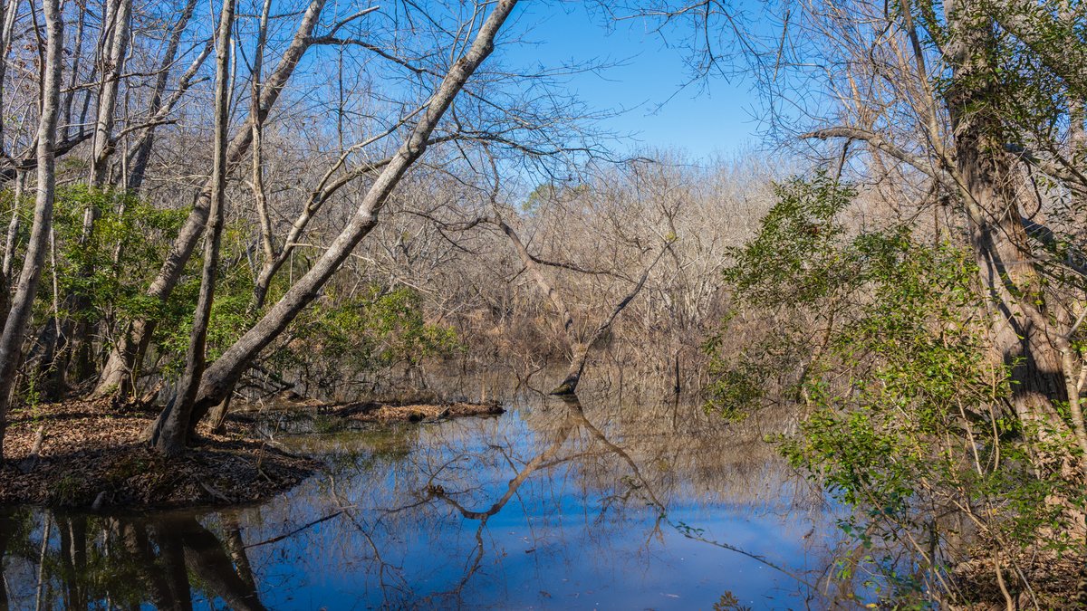 Image for 294+/- Acres – Hester Farm - Exceptional Hunting Opportunity - Versatile Farmland, Timber, & Ponds Offered Divided & as a Whole