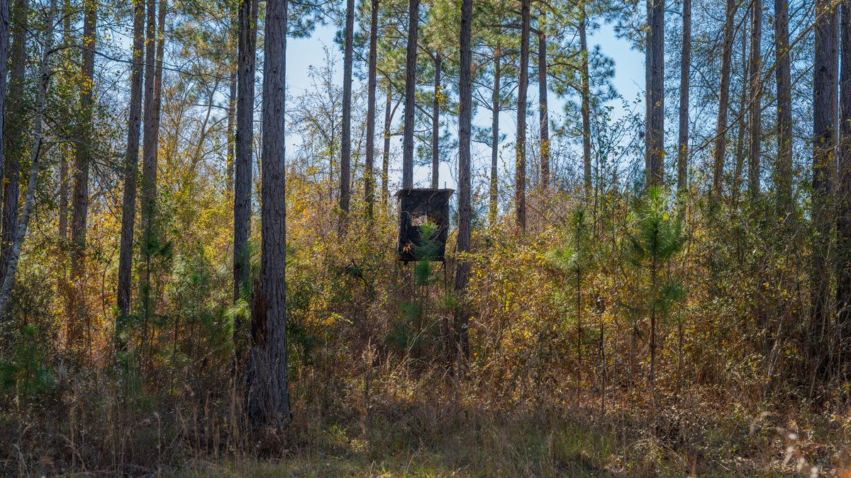Image for 294+/- Acres – Hester Farm - Exceptional Hunting Opportunity - Versatile Farmland, Timber, & Ponds Offered Divided & as a Whole