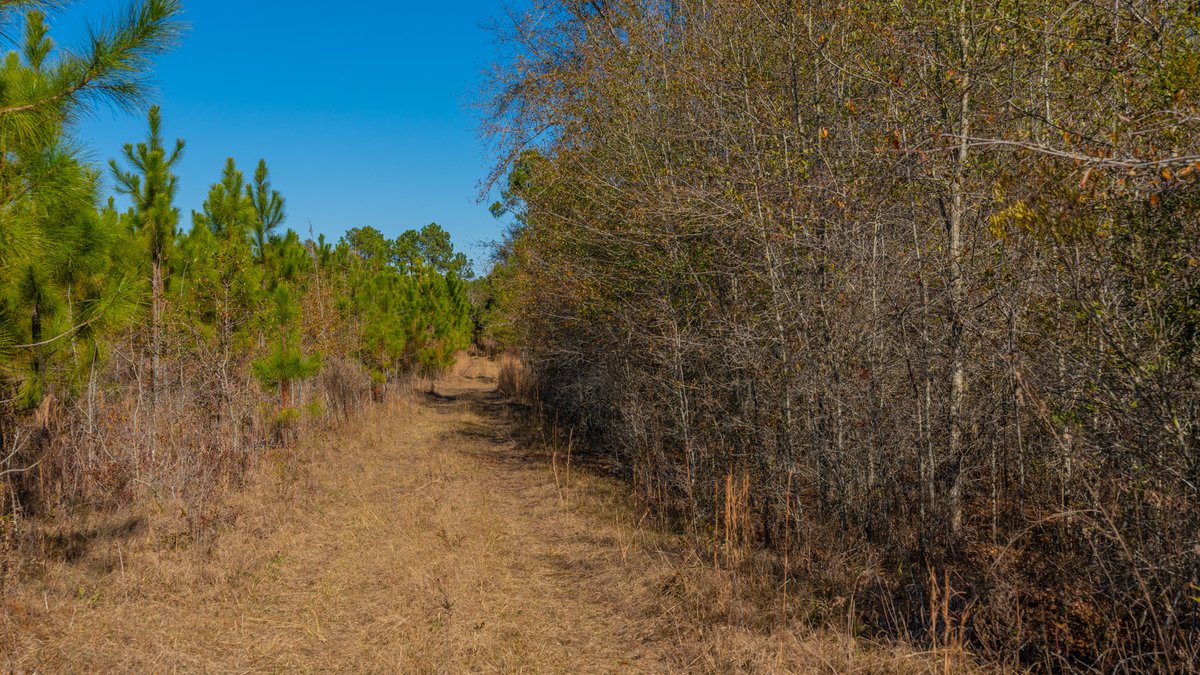 Image for 294+/- Acres – Hester Farm - Exceptional Hunting Opportunity - Versatile Farmland, Timber, & Ponds Offered Divided & as a Whole