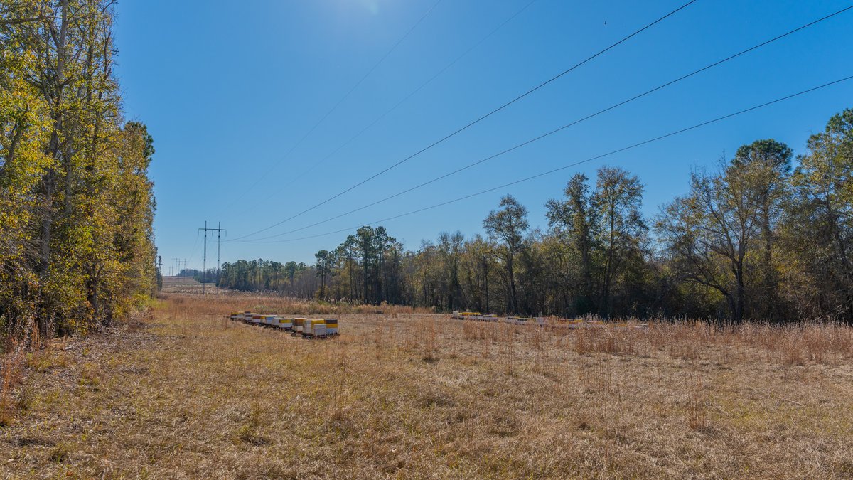 Image for 294+/- Acres – Hester Farm - Exceptional Hunting Opportunity - Versatile Farmland, Timber, & Ponds Offered Divided & as a Whole