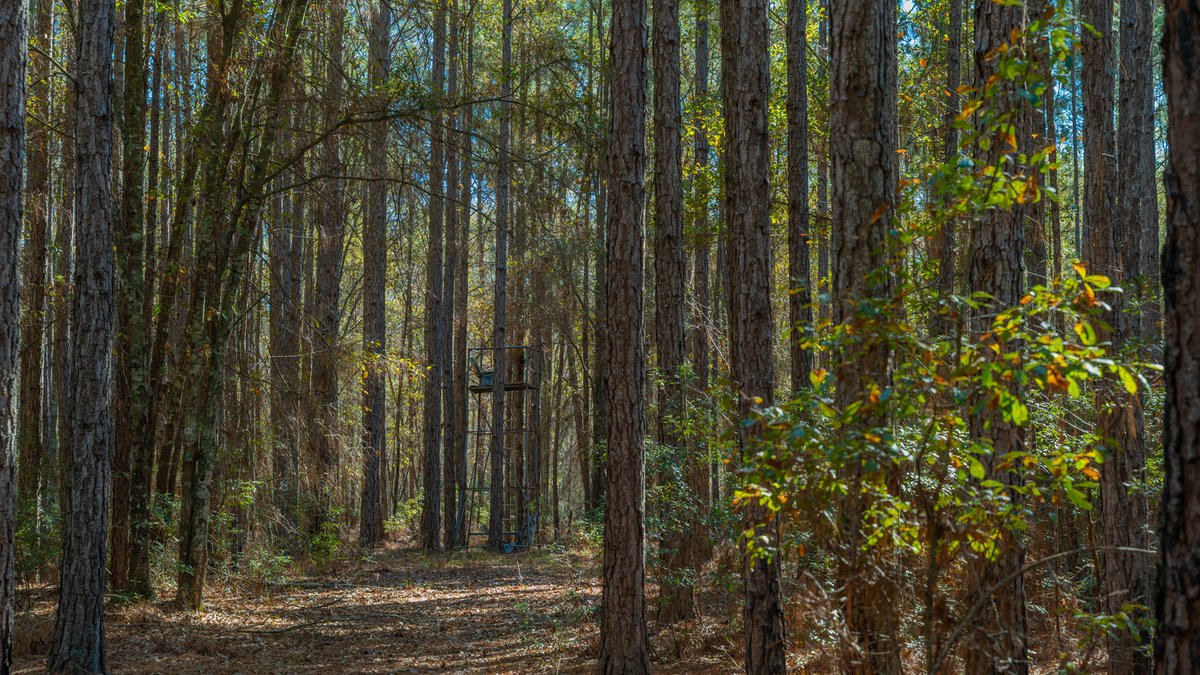 Image for 294+/- Acres – Hester Farm - Exceptional Hunting Opportunity - Versatile Farmland, Timber, & Ponds Offered Divided & as a Whole