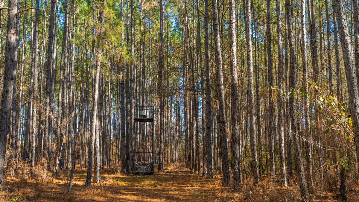 Image for 294+/- Acres – Hester Farm - Exceptional Hunting Opportunity - Versatile Farmland, Timber, & Ponds Offered Divided & as a Whole