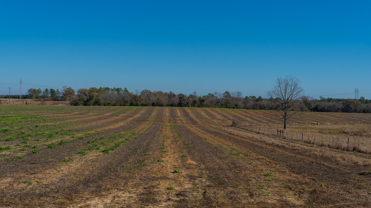 Image for 294+/- Acres – Hester Farm - Exceptional Hunting Opportunity - Versatile Farmland, Timber, & Ponds Offered Divided & as a Whole