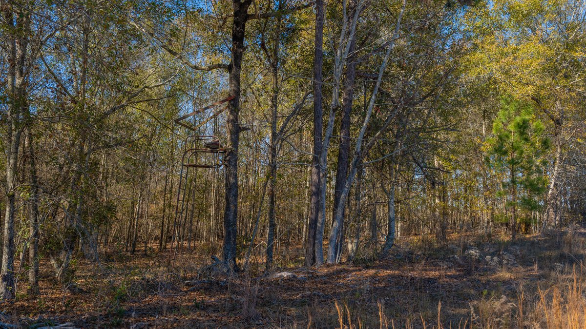 Image for 294+/- Acres – Hester Farm - Exceptional Hunting Opportunity - Versatile Farmland, Timber, & Ponds Offered Divided & as a Whole