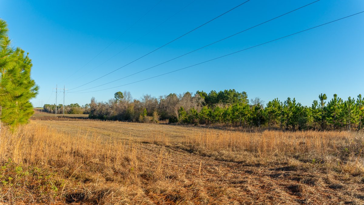 Image for 294+/- Acres – Hester Farm - Exceptional Hunting Opportunity - Versatile Farmland, Timber, & Ponds Offered Divided & as a Whole