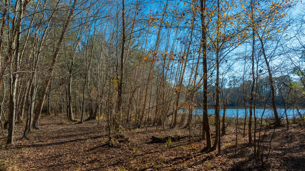 Image for Margaret Kenworthy Estate - 199+/- Total Acres - 1,760 SF Southern Charm Home - Planted Pine, Hardwoods & Pond - Echeconnee Creek Frontage