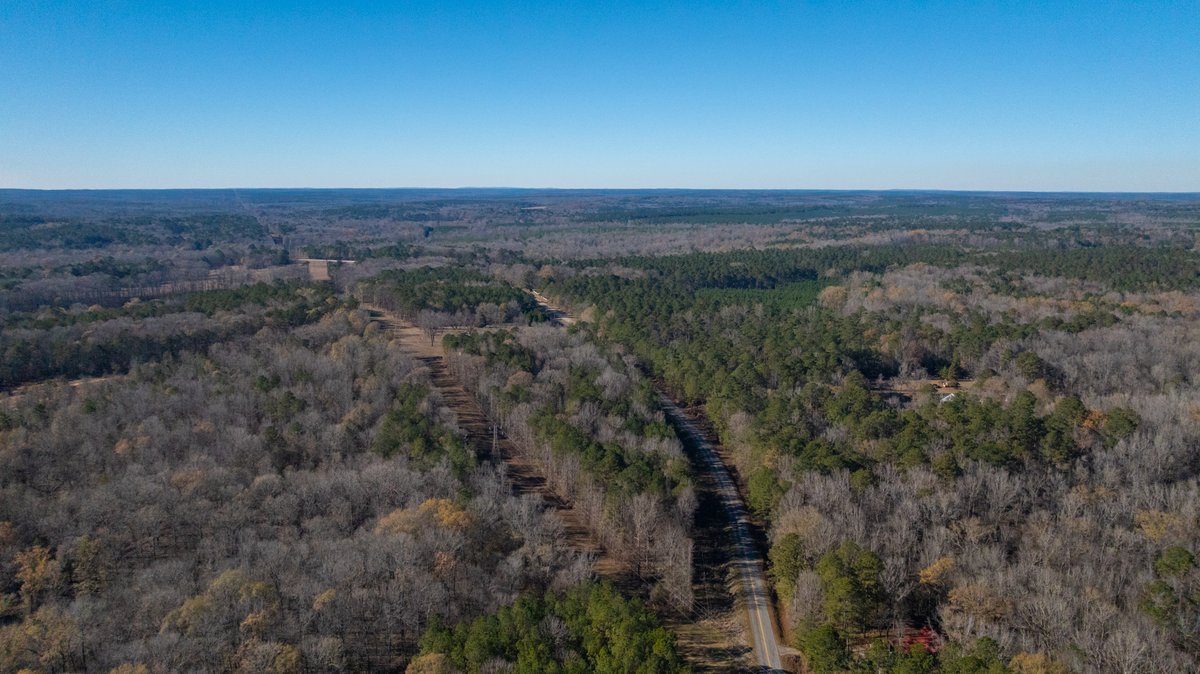 Image for Margaret Kenworthy Estate - 199+/- Total Acres - 1,760 SF Southern Charm Home - Planted Pine, Hardwoods & Pond - Echeconnee Creek Frontage