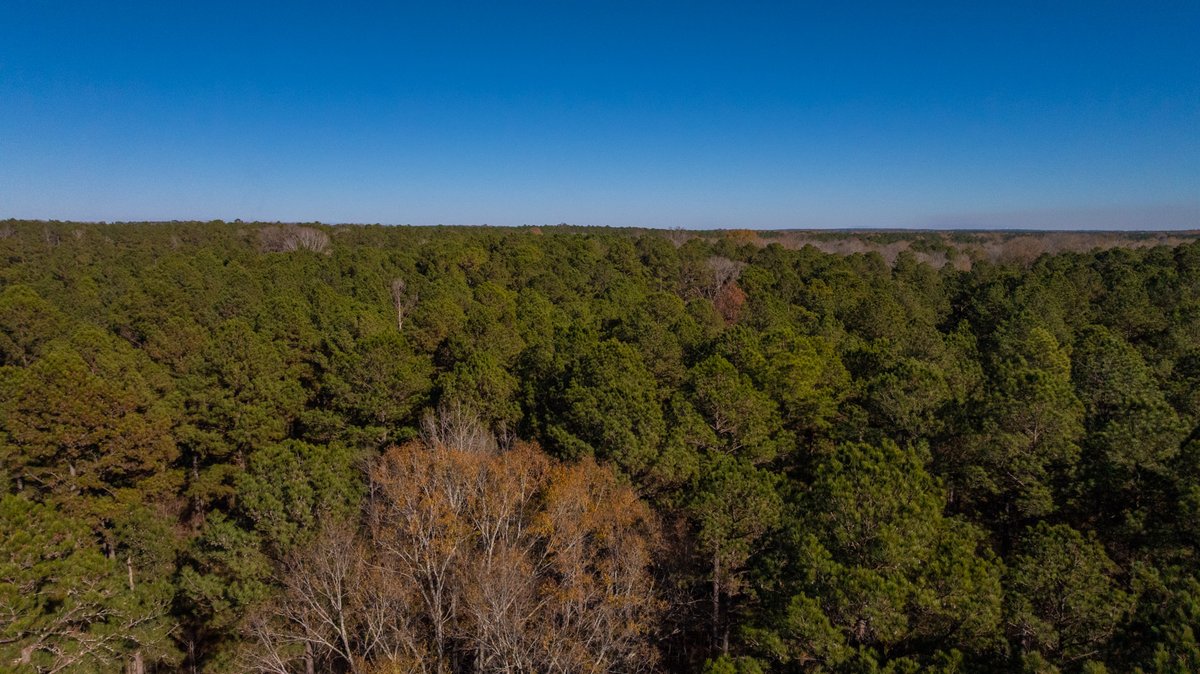 Image for Margaret Kenworthy Estate - 199+/- Total Acres - 1,760 SF Southern Charm Home - Planted Pine, Hardwoods & Pond - Echeconnee Creek Frontage