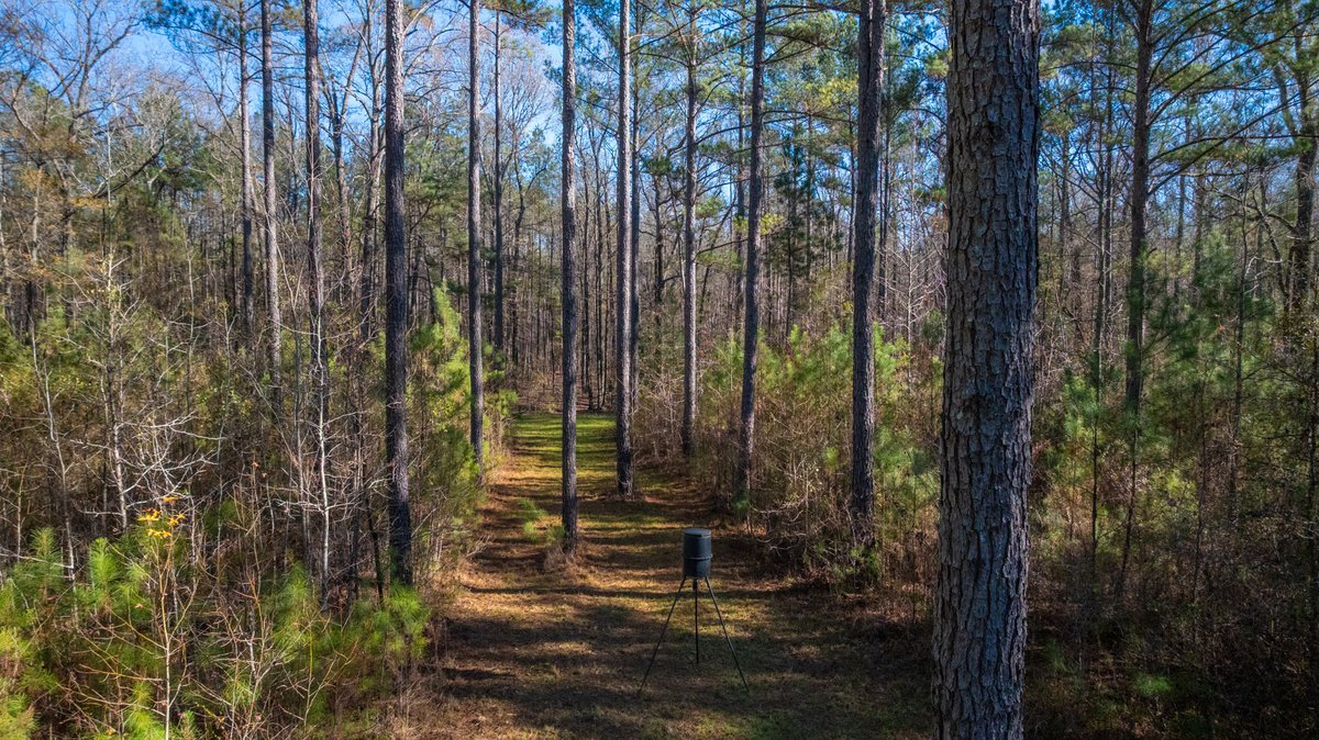 Image for Margaret Kenworthy Estate - 199+/- Total Acres - 1,760 SF Southern Charm Home - Planted Pine, Hardwoods & Pond - Echeconnee Creek Frontage