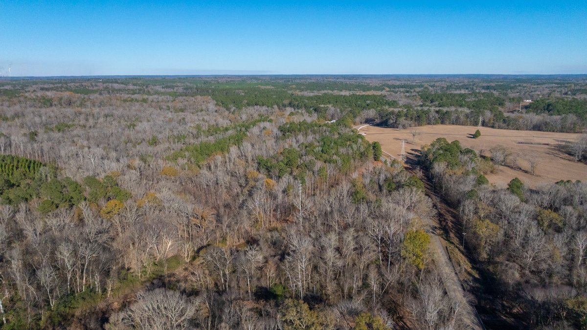Image for Margaret Kenworthy Estate - 199+/- Total Acres - 1,760 SF Southern Charm Home - Planted Pine, Hardwoods & Pond - Echeconnee Creek Frontage