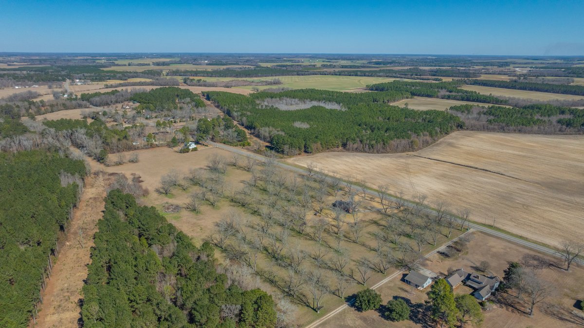 Image for 23.9± Acres - Beautiful Brick Home - Income-Producing Pecan Orchard - Development Potential in Vienna, GA