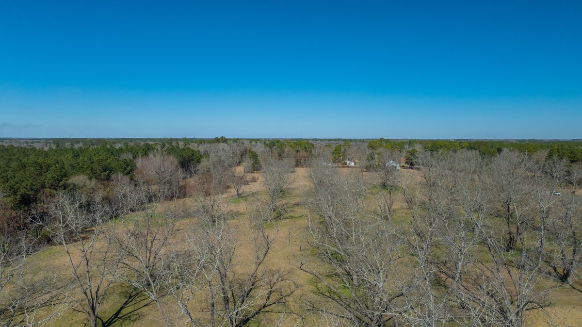 Image for 23.9± Acres - Beautiful Brick Home - Income-Producing Pecan Orchard - Development Potential in Vienna, GA