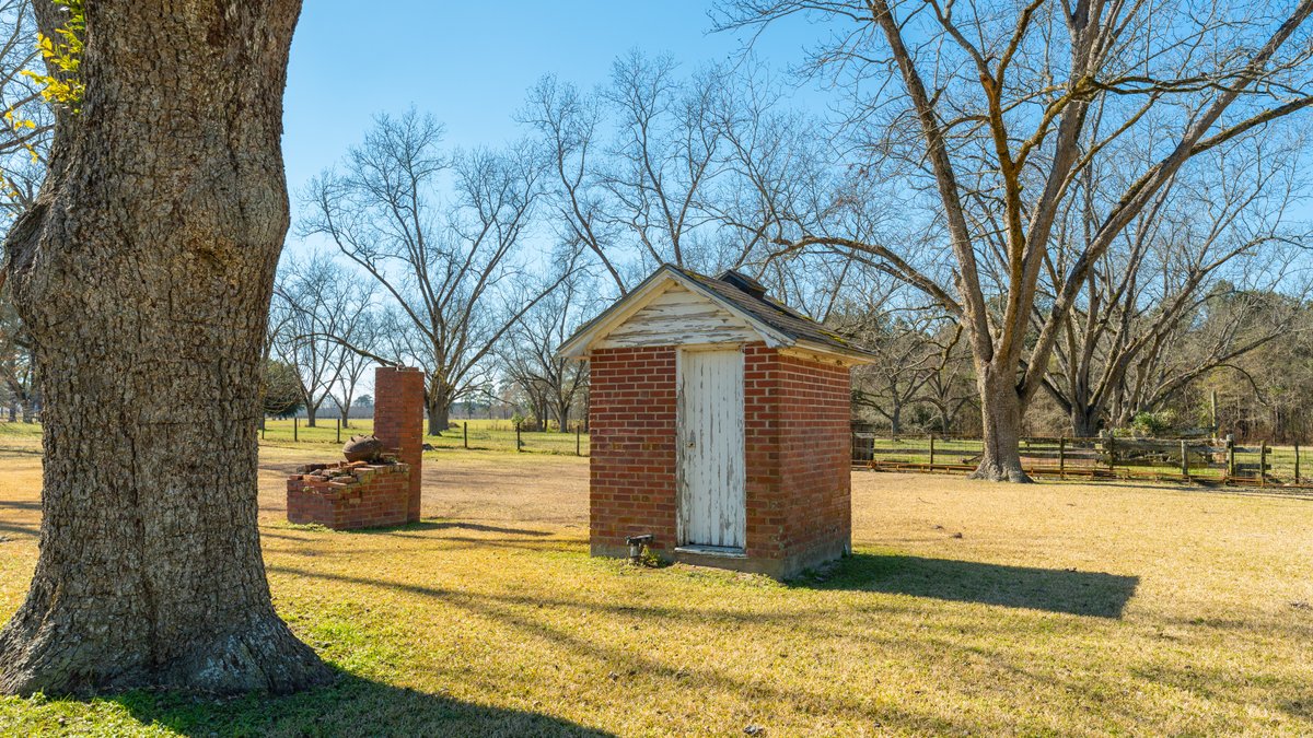 Image for 23.9± Acres - Beautiful Brick Home - Income-Producing Pecan Orchard - Development Potential in Vienna, GA