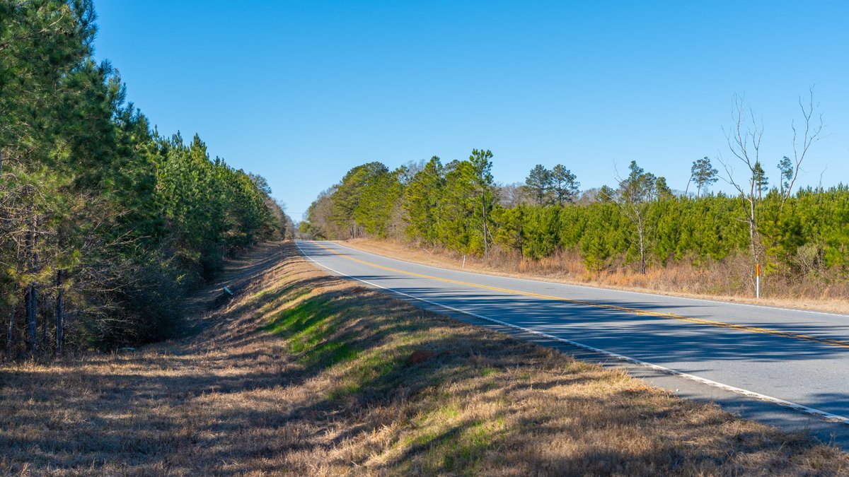 Image for 310± Total Acres - Simpson Tract - Planted Pines & Premium Hunting - Clear Creek Frontage