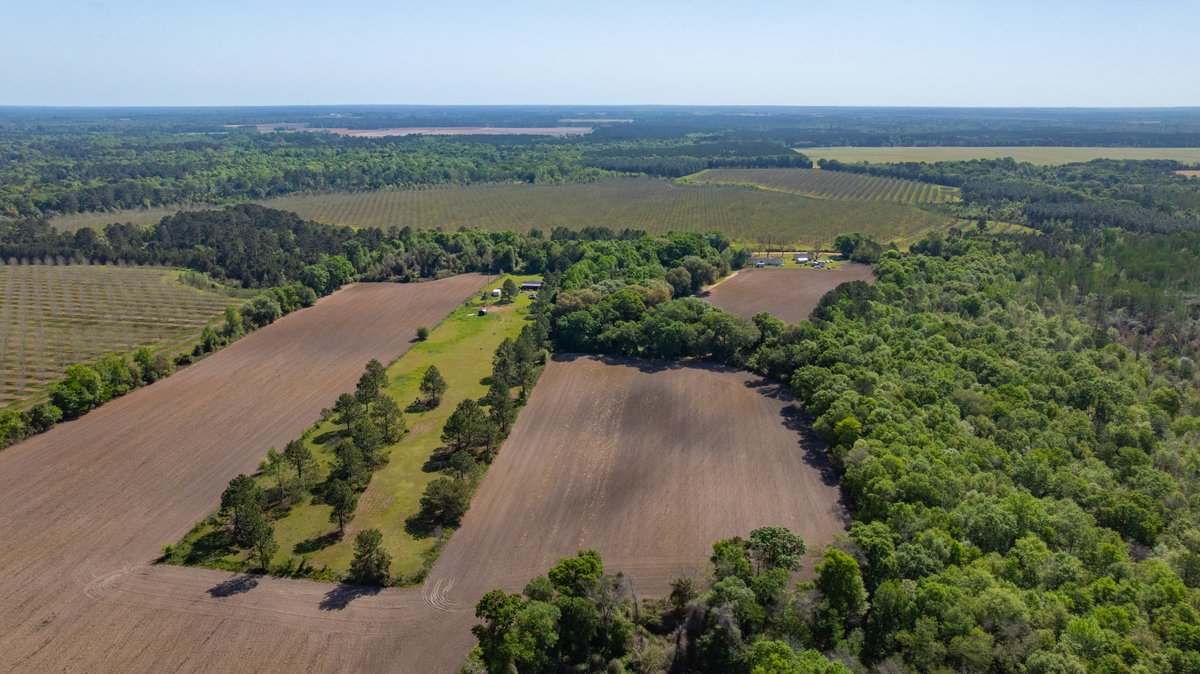 Image for Bells Tract - Tison Estate - 10.5± Total Acres - Excellent Homesite - Located in Big Buck Country - Crop Land & Mixed Hardwoods