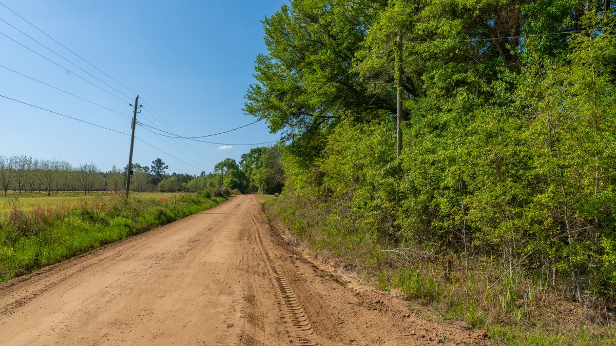 Image for Bells Tract - Tison Estate - 10.5± Total Acres - Excellent Homesite - Located in Big Buck Country - Crop Land & Mixed Hardwoods
