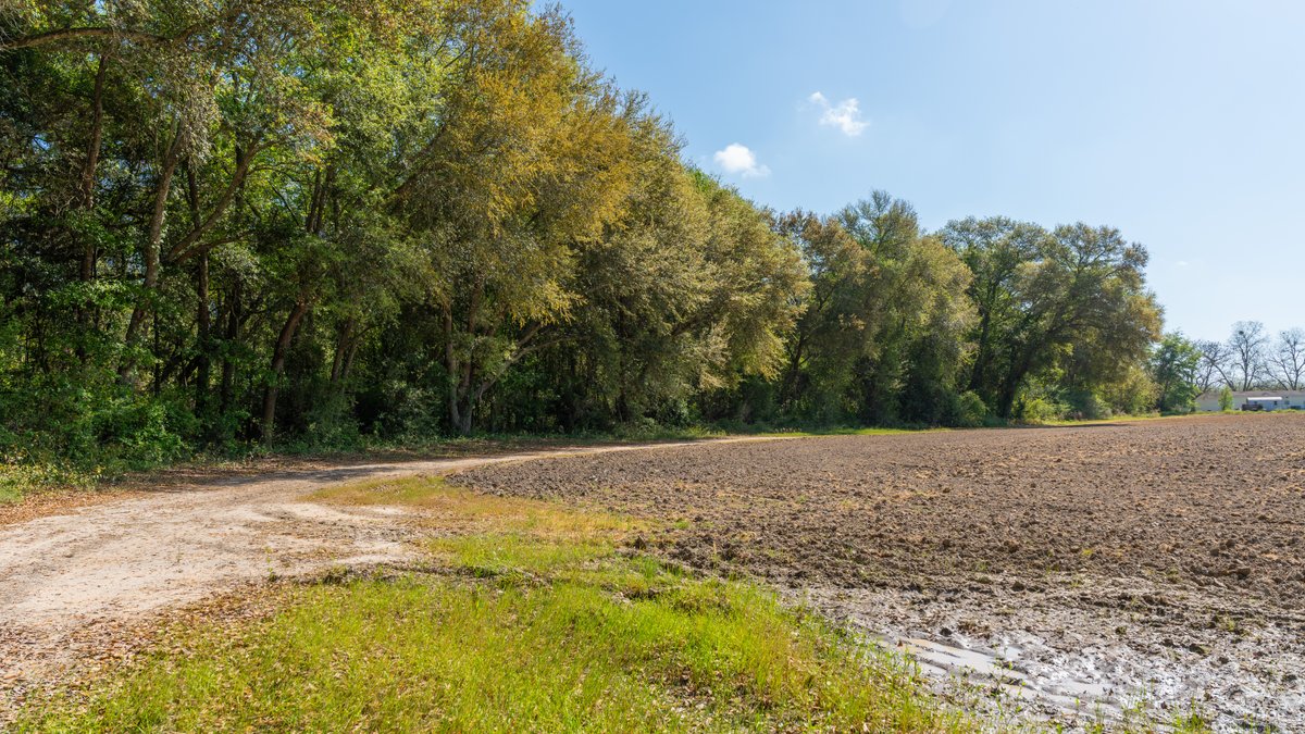 Image for Bells Tract - Tison Estate - 10.5± Total Acres - Excellent Homesite - Located in Big Buck Country - Crop Land & Mixed Hardwoods