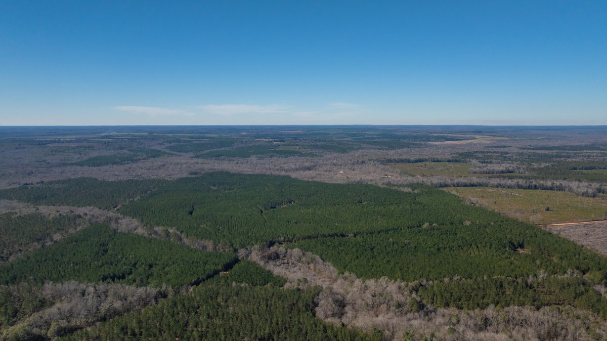 Image for 403± Total Acres - Minick Tract - Merchantable Planted Pine - Kinchafoonee Creek Frontage