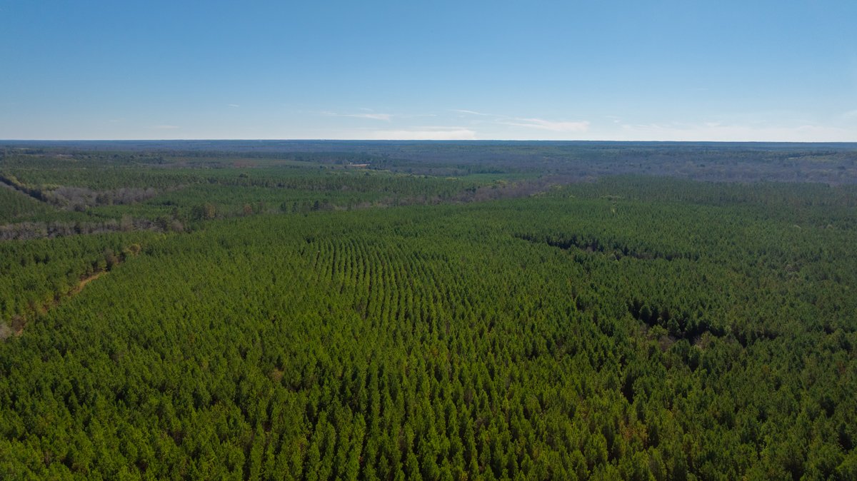 Image for 403± Total Acres - Minick Tract - Merchantable Planted Pine - Kinchafoonee Creek Frontage