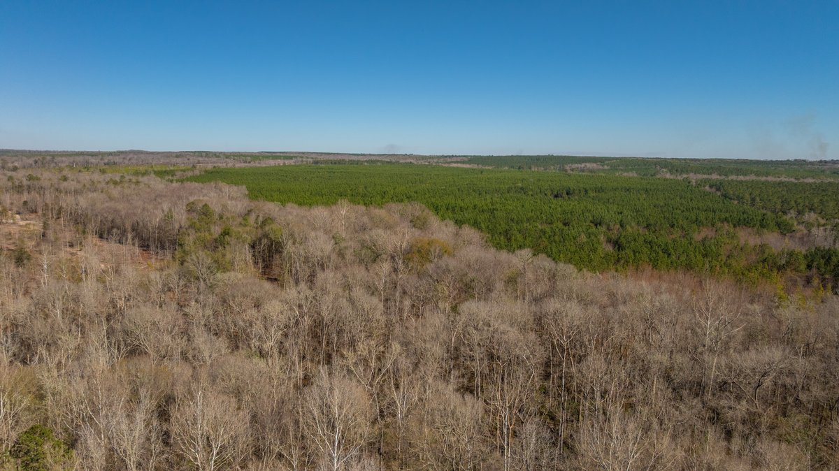 Image for 403± Total Acres - Minick Tract - Merchantable Planted Pine - Kinchafoonee Creek Frontage
