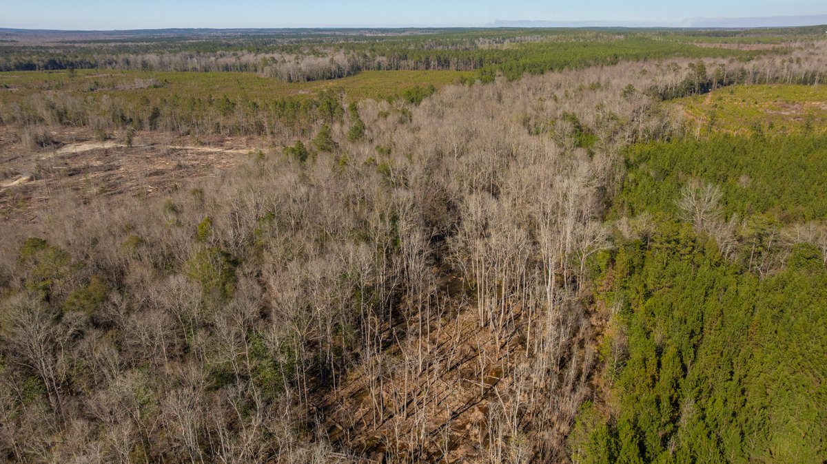 Image for 403± Total Acres - Minick Tract - Merchantable Planted Pine - Kinchafoonee Creek Frontage