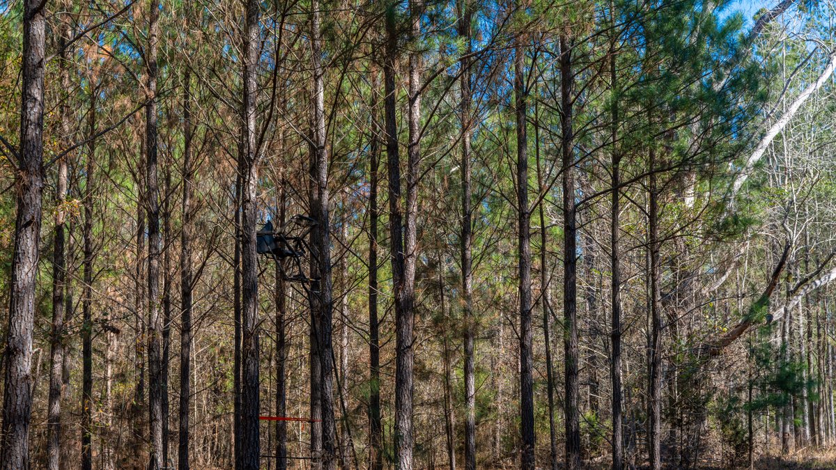 Image for 403± Total Acres - Minick Tract - Merchantable Planted Pine - Kinchafoonee Creek Frontage