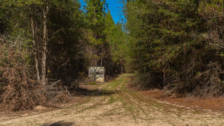 Image for 403± Total Acres - Minick Tract - Merchantable Planted Pine - Kinchafoonee Creek Frontage