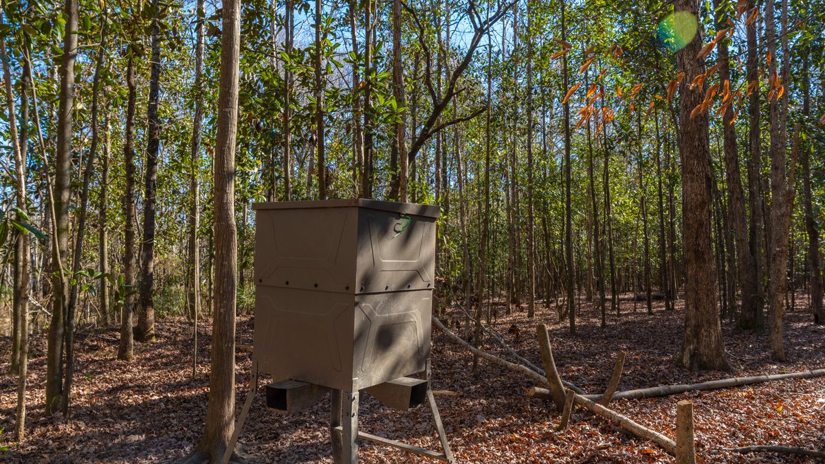 Image for 403± Total Acres - Minick Tract - Merchantable Planted Pine - Kinchafoonee Creek Frontage