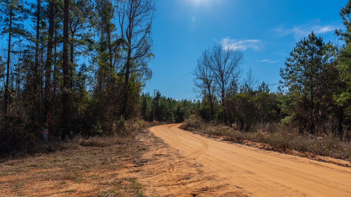 Image for 775± Total Acres - King Tract - Premium Plantation Pines - Large Timber Investment - Choctahatchee Creek Frontage