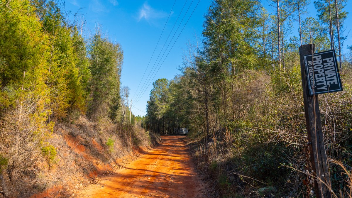 Image for 775± Total Acres - King Tract - Premium Plantation Pines - Large Timber Investment - Choctahatchee Creek Frontage