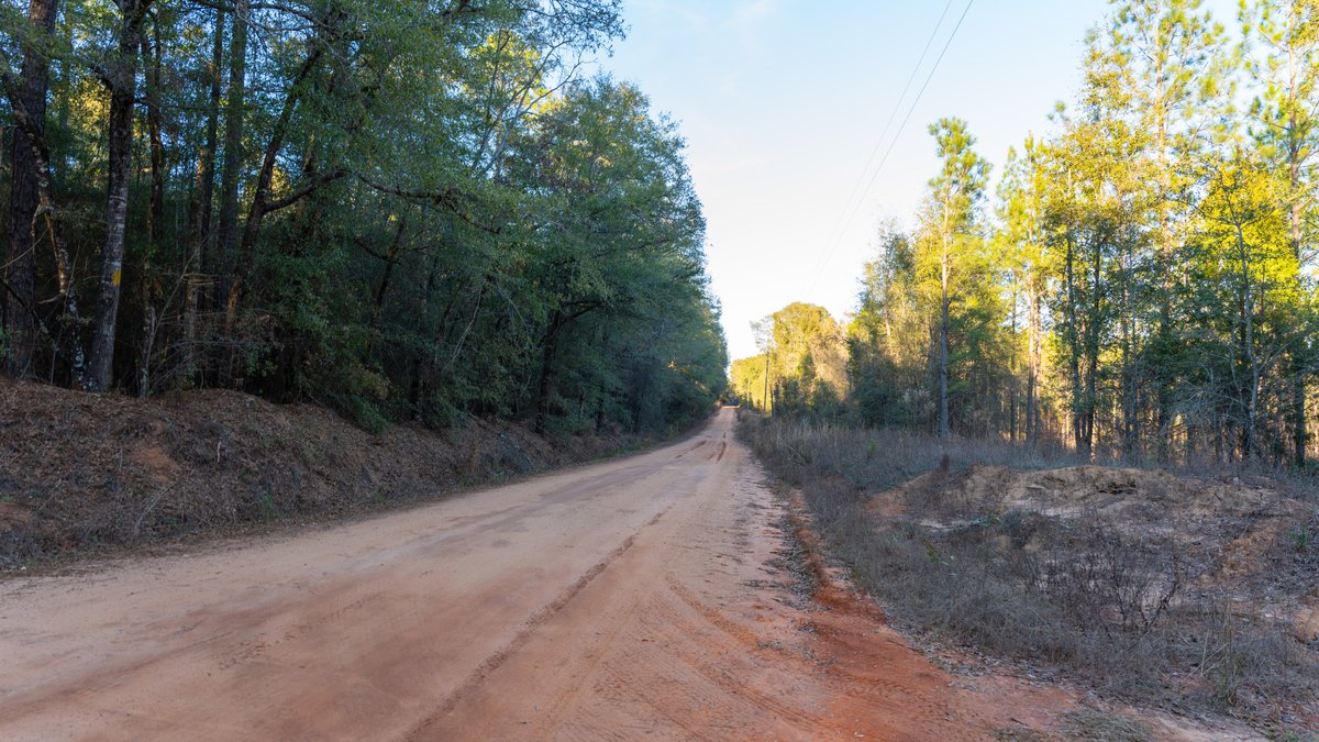 Image for 775± Total Acres - King Tract - Premium Plantation Pines - Large Timber Investment - Choctahatchee Creek Frontage