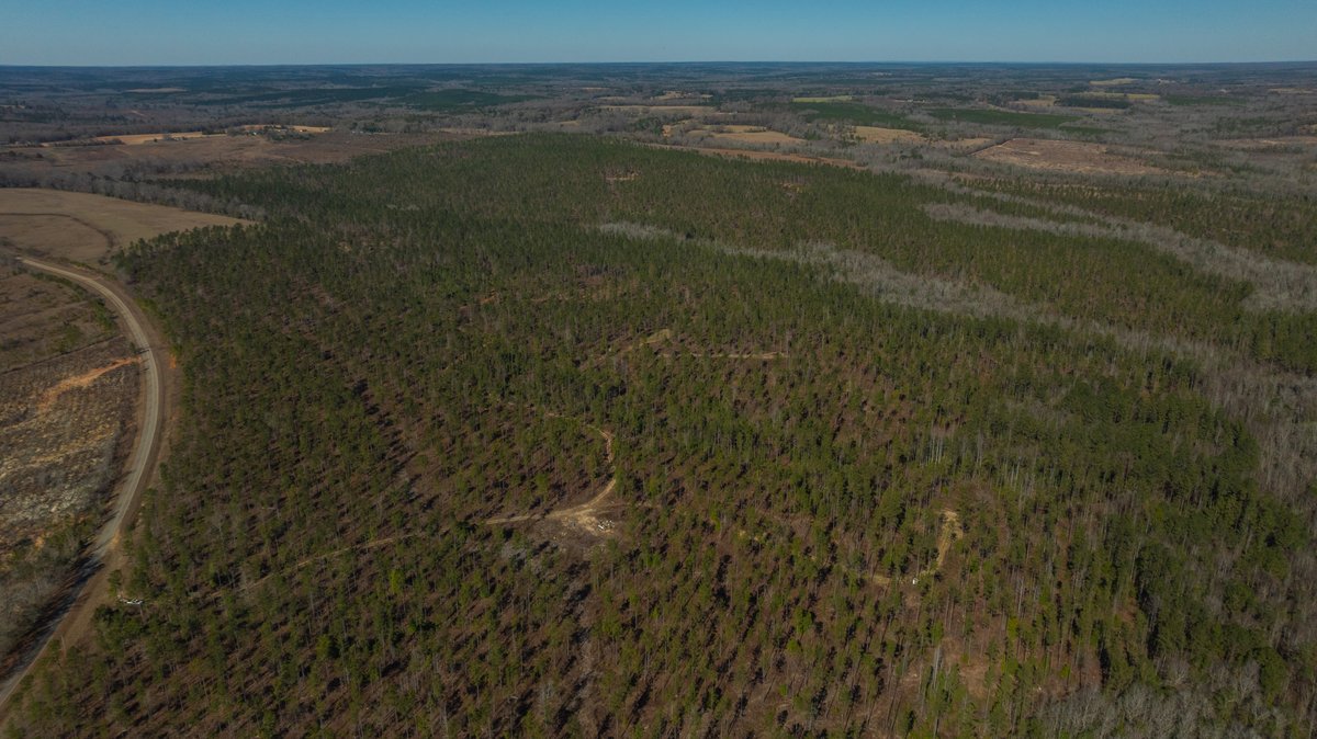 Image for 450± Total Acres - Jefferson Tract North - Exceptional Timber Investment - Plantation Pines & Lanahassee Creek Frontage