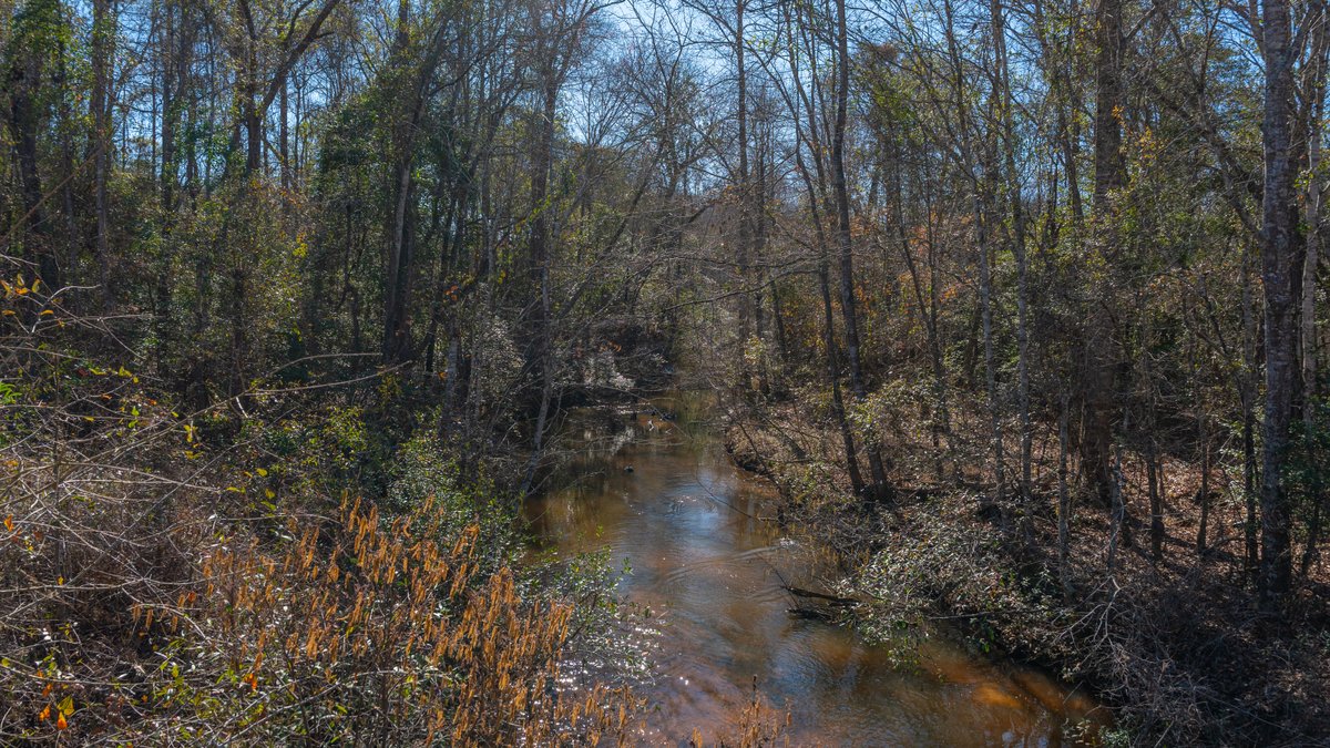 Image for 450± Total Acres - Jefferson Tract North - Exceptional Timber Investment - Plantation Pines & Lanahassee Creek Frontage