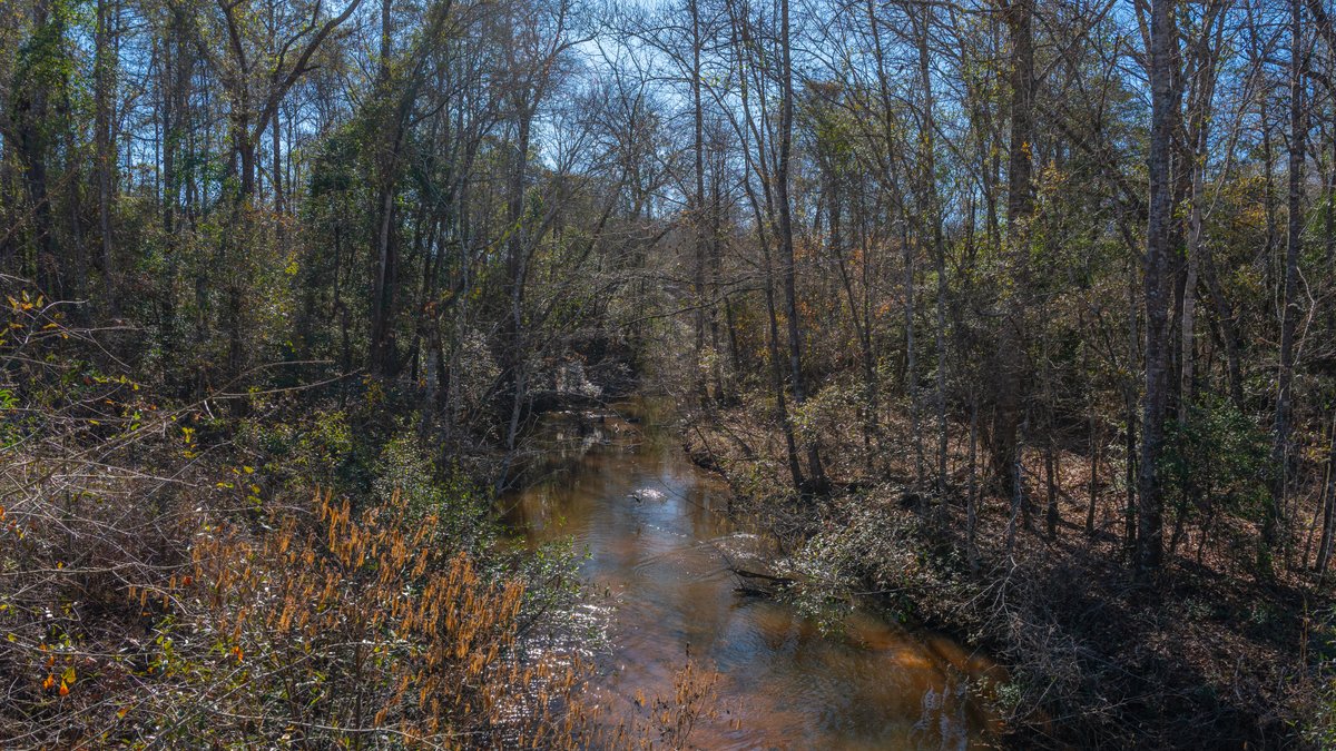 Image for 450± Total Acres - Jefferson Tract North - Exceptional Timber Investment - Plantation Pines & Lanahassee Creek Frontage