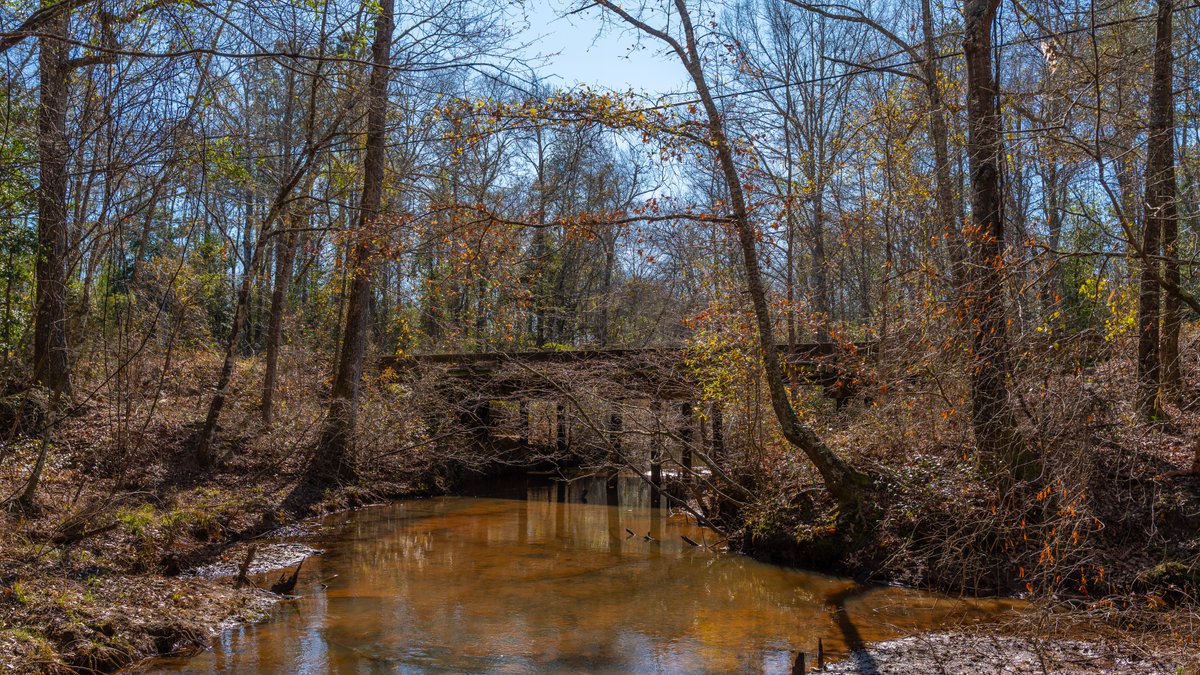 Image for 450± Total Acres - Jefferson Tract North - Exceptional Timber Investment - Plantation Pines & Lanahassee Creek Frontage