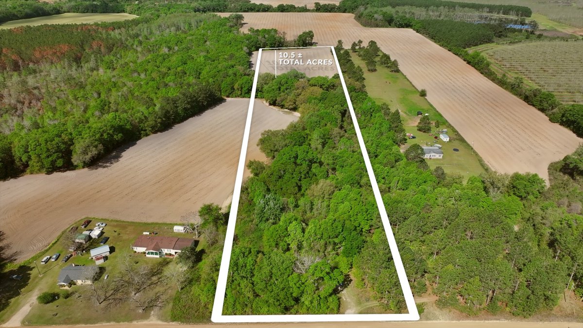 Image for Bells Tract - Tison Estate - 10.5± Total Acres - Excellent Homesite - Located in Big Buck Country - Crop Land & Mixed Hardwoods