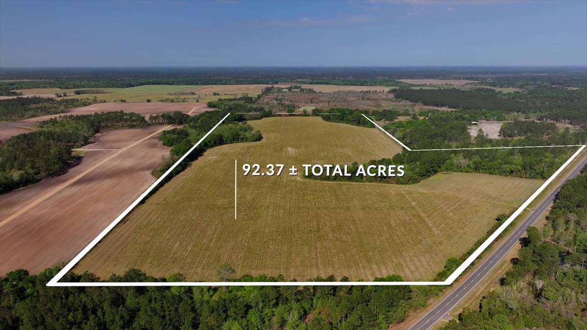 Image for Reynolds Tract - Tison Estate - 92.37± Total Acres - Premium Row Crop Farmland - Mixed Hardwoods - Located in Big Buck Country