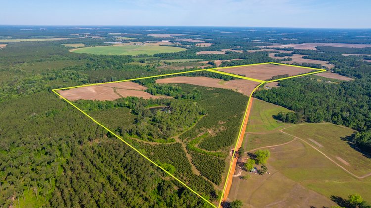 Image for 198.85± Total Acres - Diverse South Georgia Land Tract - Open Farmland w/ Timber & Stocked Pond
