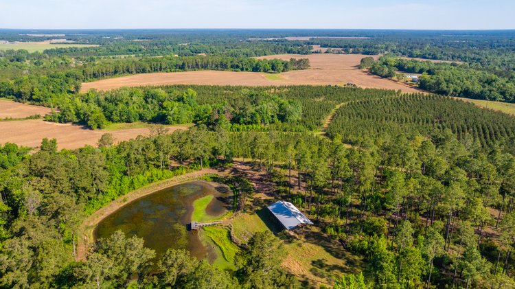 Image for 198.85± Total Acres - Diverse South Georgia Land Tract - Open Farmland w/ Timber & Stocked Pond