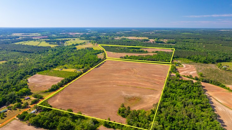 Image for 198.85± Total Acres - Diverse South Georgia Land Tract - Open Farmland w/ Timber & Stocked Pond