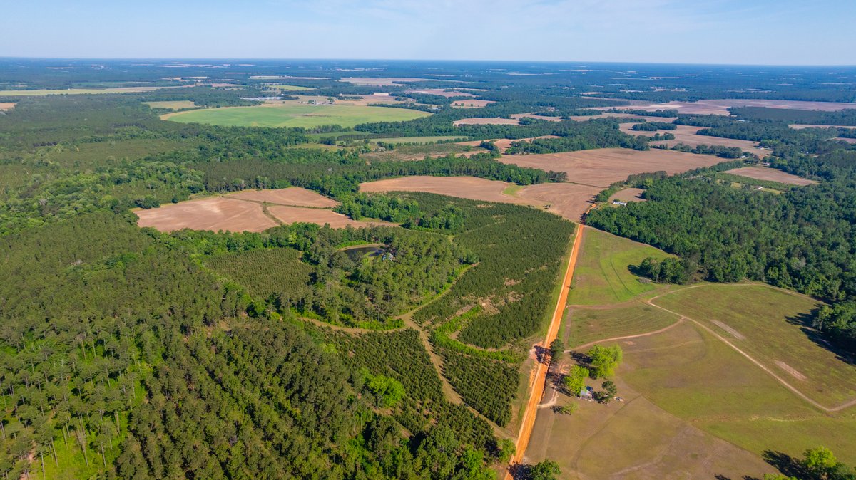 Image for 198.85± Total Acres - Diverse South Georgia Land Tract - Open Farmland w/ Timber & Stocked Pond